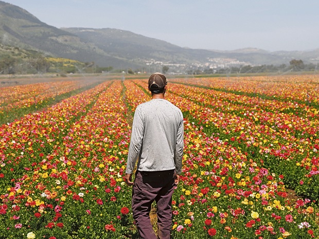 С чего начинается Родина